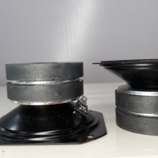 2 loa tép 10  từ kép