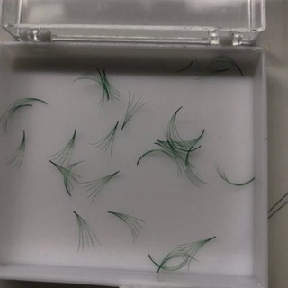 Mi giả 5d xanh rêu 35k / 200 fans