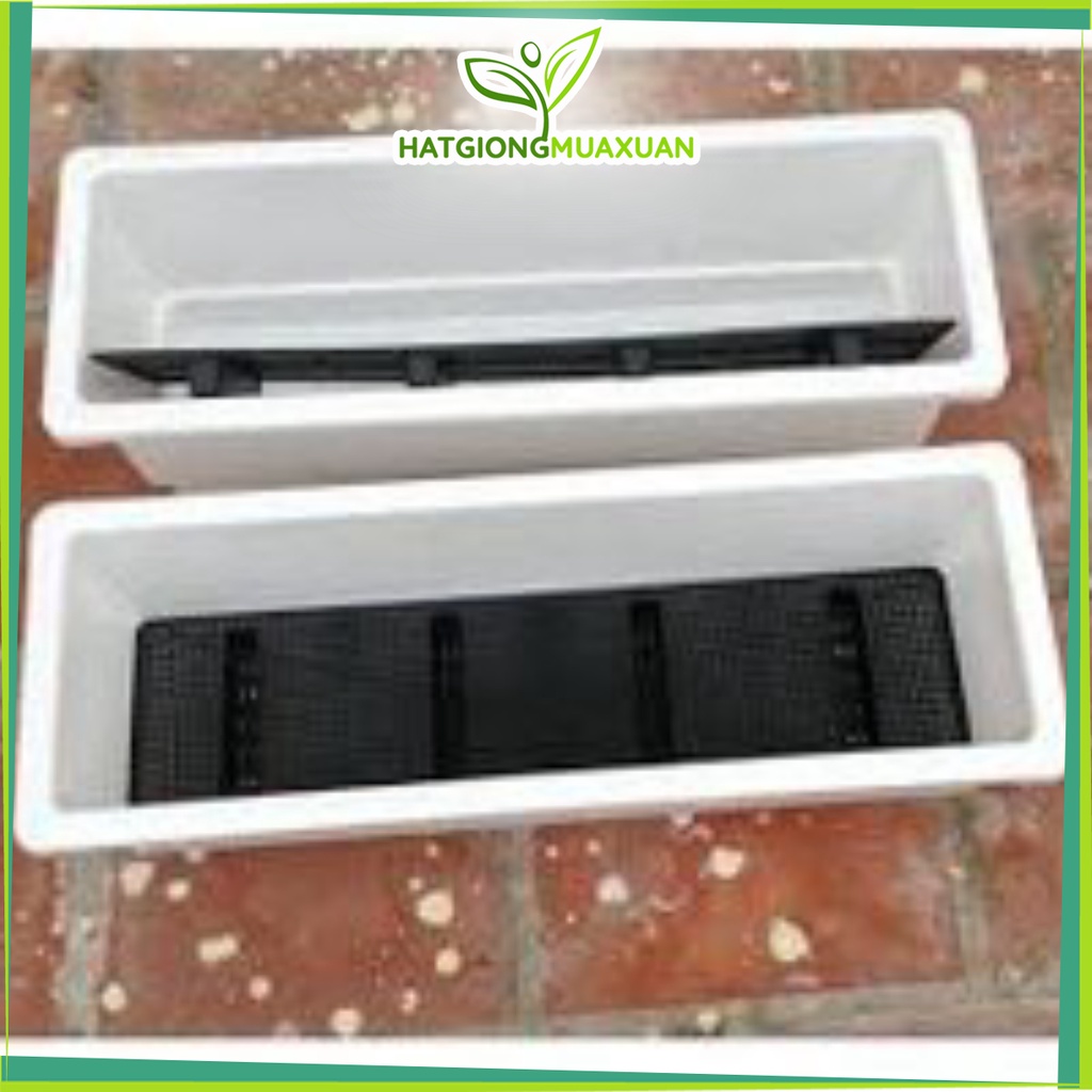 Chậu chữ nhật trồng cây thông mình 67x24cm