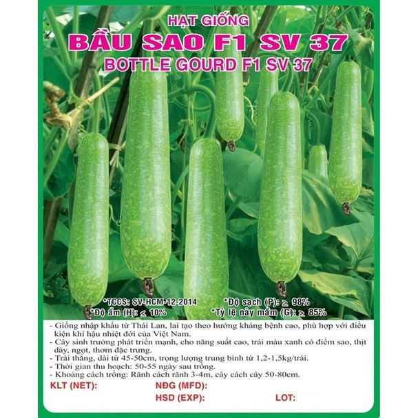 Hạt giống Bầu Sao F1 giống nẩy mầm khỏe VTS155 | Vạn Tín Store