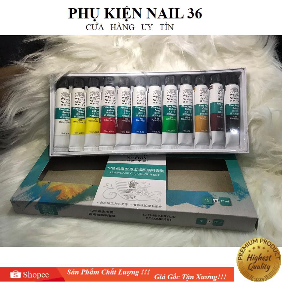 Màu Vẽ Cọ Bản Winsor