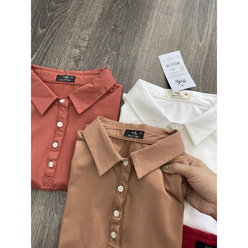áo thun Polo t-shirt dư xịn vnxk siêu đẹp a262 | BigBuy360 - bigbuy360.vn
