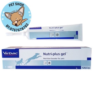 Gel Dinh Dưỡng Nutri-plus cho chó mèo