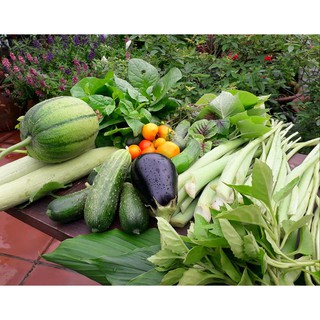 Chế Phẩm Đa Năng 𝐌𝐔𝐋𝐓𝐈𝟏 chuyên 𝐜ả𝐢 𝐭ạ𝐨 đấ𝐭, 𝐛ổ 𝐬𝐮𝐧𝐠 𝐝𝐢𝐧𝐡 𝐝ưỡ𝐧𝐠, 𝐧𝐠ă𝐧 𝐧𝐠ừ𝐚 𝐜á𝐜 𝐛ệ𝐧𝐡 𝐯ù𝐧𝐠 𝐫ễ