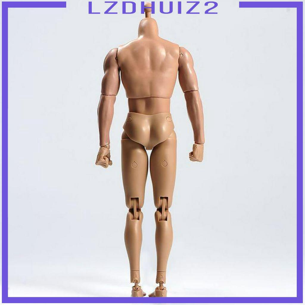 Mô Hình Cơ Thể Nam Tỉ Lệ 1 / 6