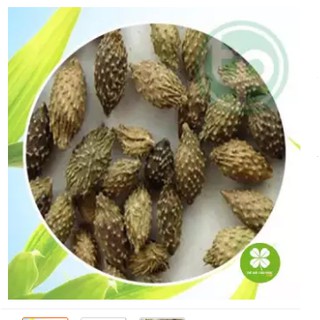Ké đầu ngựa (gói 1kg) - OLF172