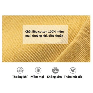 SET 10 ĐÔI VỚ HOA CÚC HOT TREND