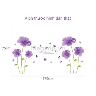 Decal dán tường hoa thuỷ tiên tím combo 2 bức