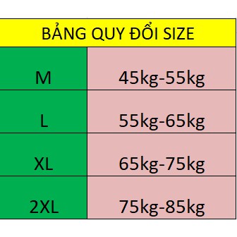 áo thu đông tay dài phong cách Hàn Quốc,hàng VNXK loại 1,giá tại xưởng t41