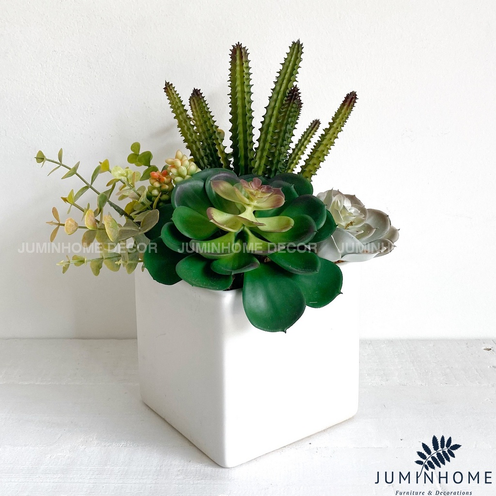 Cây giả Decor - Chậu sen đá vuông Decor trang trí để bàn