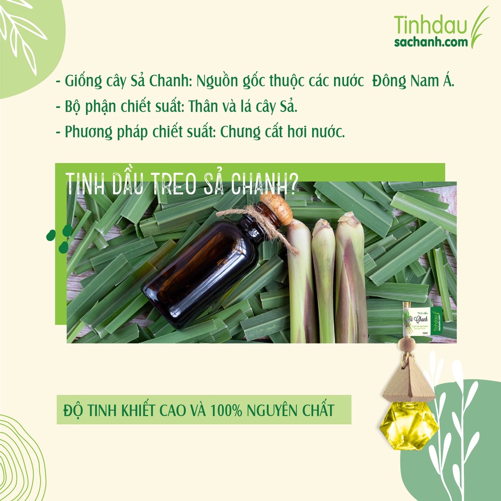 Tinh Dầu Sả Chanh Treo Xe Ôtô 8ml TINHDAUSACHANH.COM Lemongrass  Đa Năng Treo Khử Mùi Xe Hơi Thơm Phòng Tủ Quần