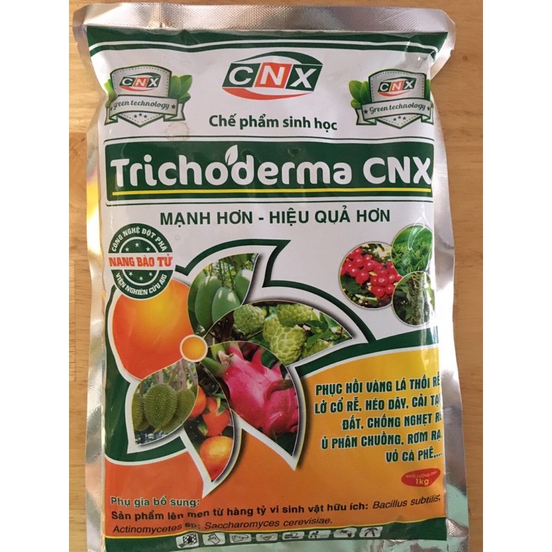 Trichoderma CNX