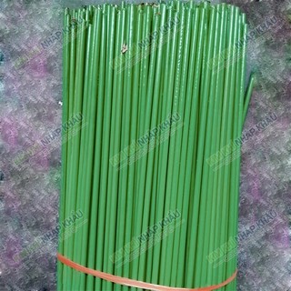 Bộ 10 que cắm Lan lõi thép dài 90cm bọc nhựa xanh - VTK6