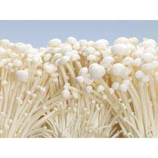 [CHỈ GIAO HÀNG TẠI HÀ NỘI] Nấm kim châm gói 150gr