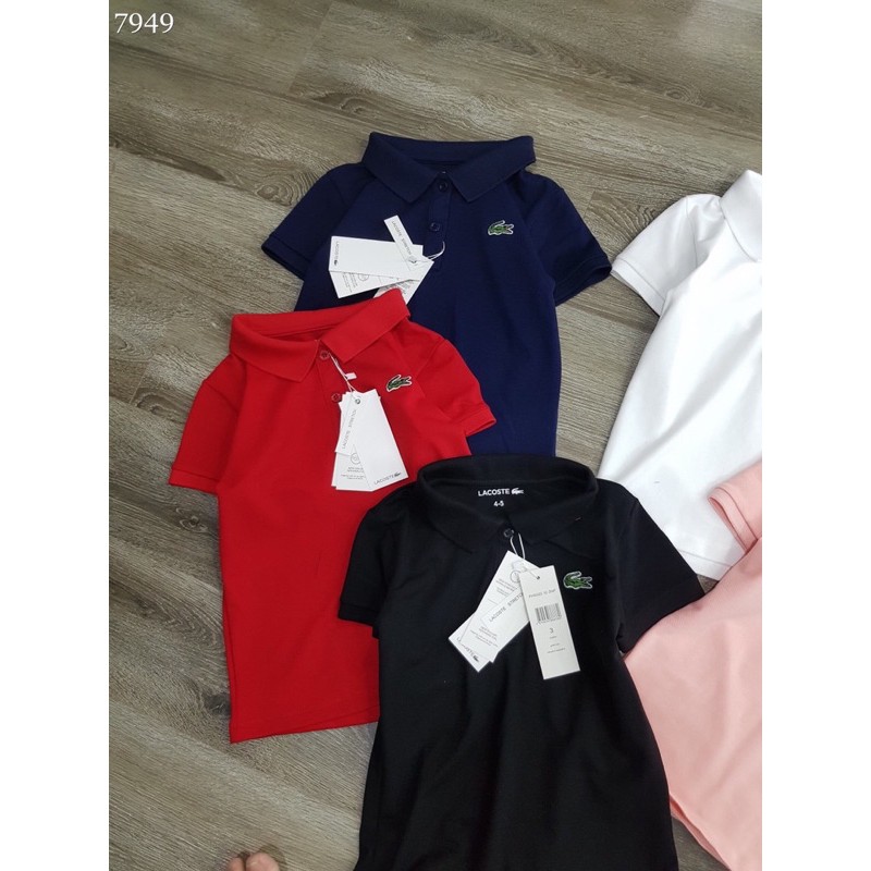 Áo polo Lacoste