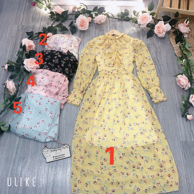 Đầm hoa nhí tay dài phối bèo siêu đẹp (hình thật+video) | BigBuy360 - bigbuy360.vn