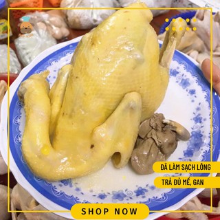 Gà Ri Tươi Mạnh Hoạch Đã Mổ Và Làm Sạch Lông