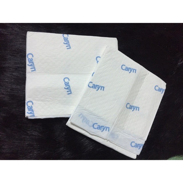 Set 20 tấm đệm lót caryn người già size XL