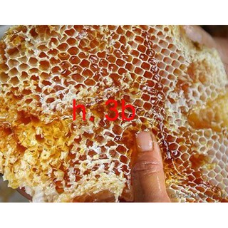[0.5 Lít] MẬT ONG RỪNG - EAPAL- EAKAR- ĐAK LAK