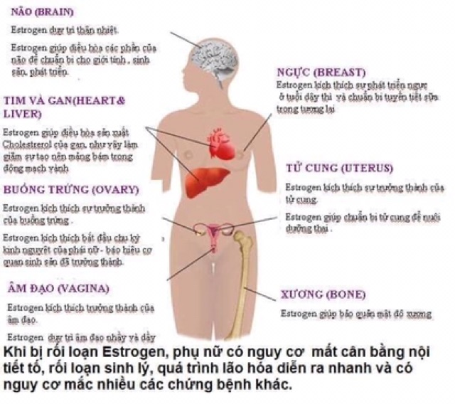 MÂM ĐẬU NÀNH-Trẻ hoá tuổi xuân  hoàn hảo -100% nguyên chất organic _trucquynh30042013 | BigBuy360 - bigbuy360.vn