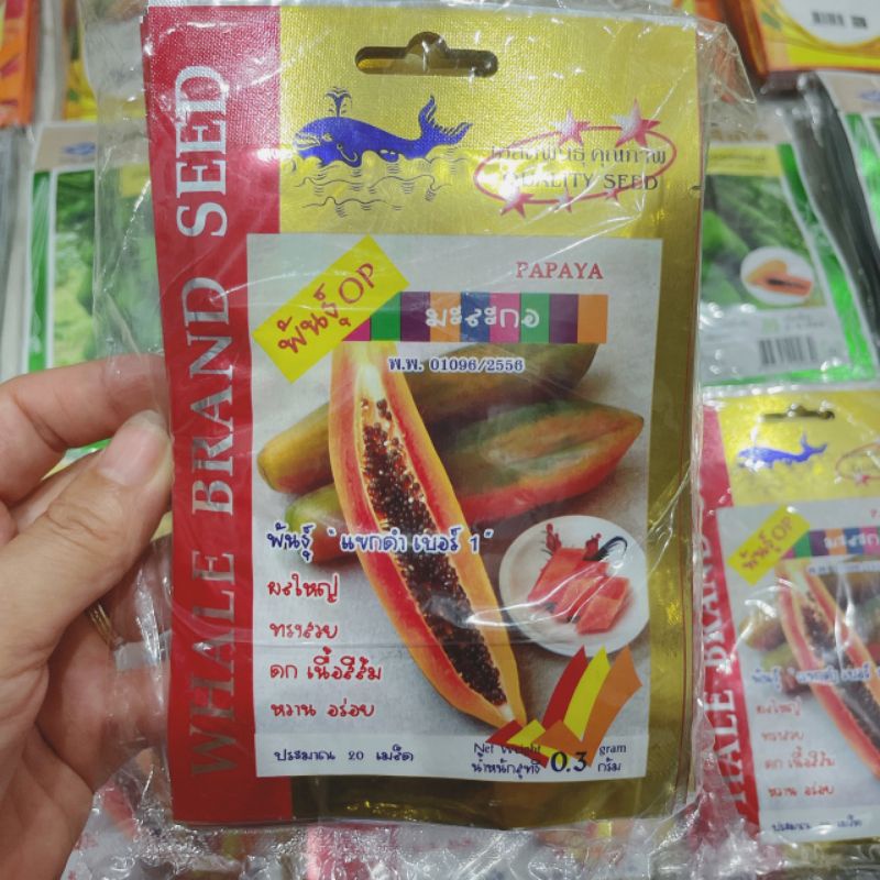 Hạt giống đu đủ lùn ruột đỏ cam siêu ngọt, quả siêu dài nhập Thái Lan nguyên gói