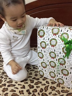 Quần Lullaby dày bo màu