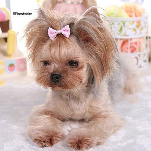 Set 6 nơ cột tóc cho chó cưng nhiều màu đáng yêu đẹp mắt