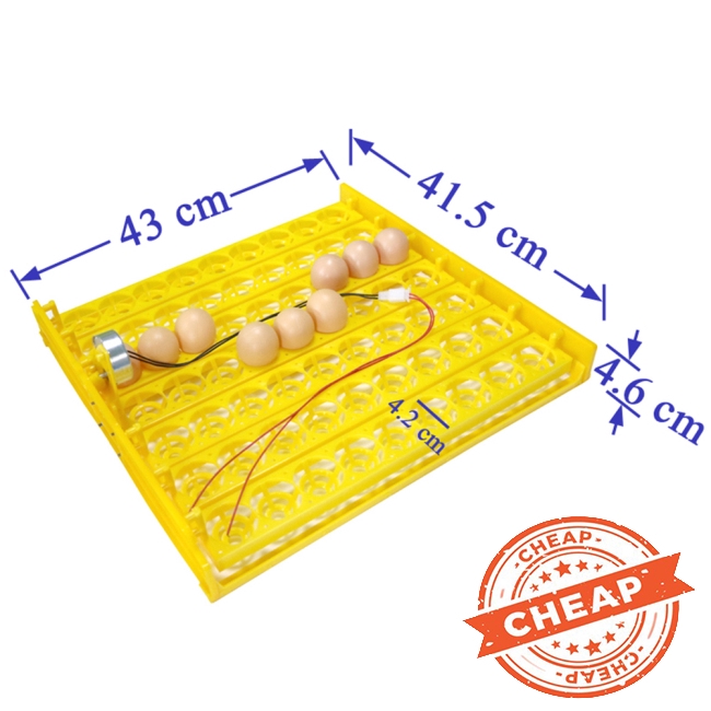 Dụng cụ ấp trứng tự động dùng cho gia cầm