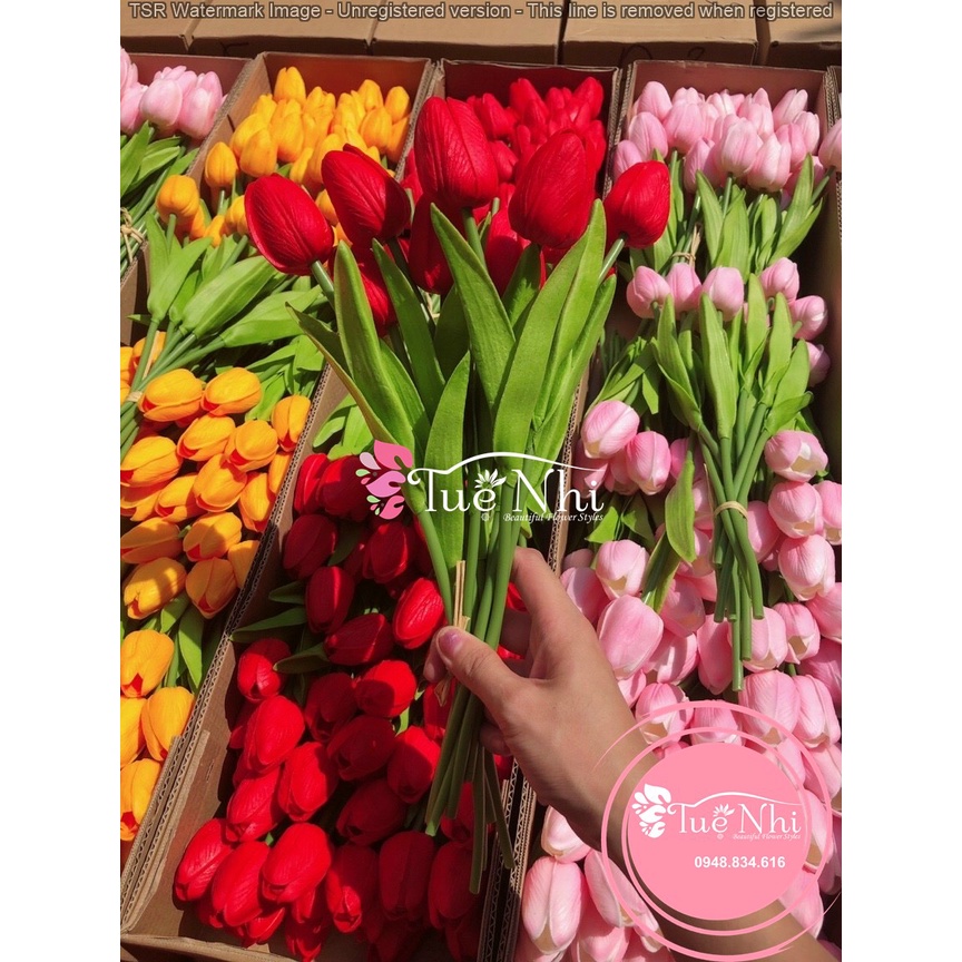 Hoa GiảHoa Tulip Giả PU Cao Cấp - Hoa Decor Trang Trí.