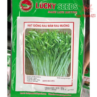 Hạt Giống Rau Mầm Rau Muống