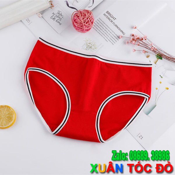  SỈ ZALO RẺ HƠN NHIỀU_ Quần Lót Cotton Nhiều Màu Viền Kẻ Mới Siêu Đẹp H013 | WebRaoVat - webraovat.net.vn