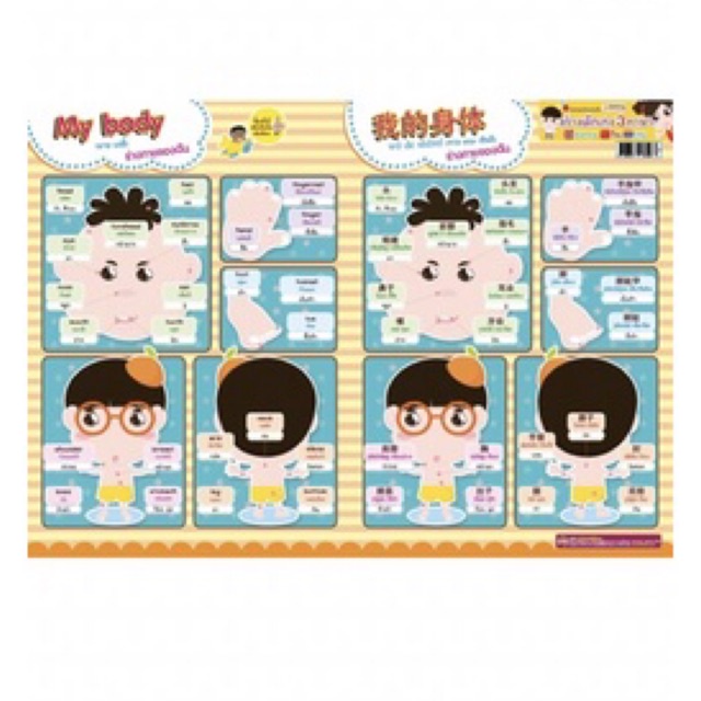 Bảng áp phích từ hình ảnh theo chủ đề 3 tiếng Anh Thái Trung