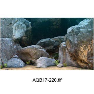 Tranh 3D bể cá ( kt 50x40;60x40;70x50;80x50;90x45;100x50;120x60)