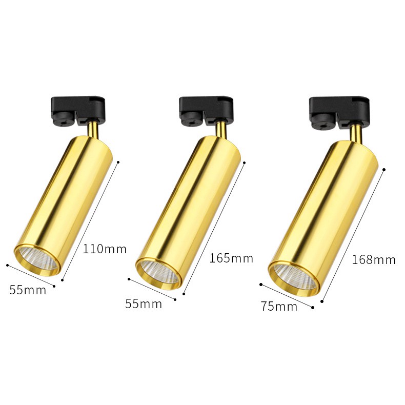 Đèn Rọi Ray Cao Cấp 20W Xi Mạ Vàng Bảo Hành 12th