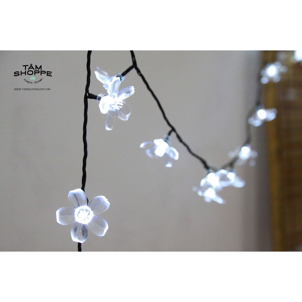 Dây đèn led Hoa mai trắng 10m TAN