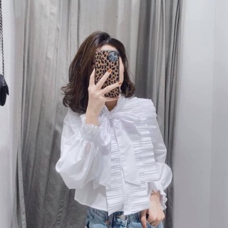 Phông zara new collection