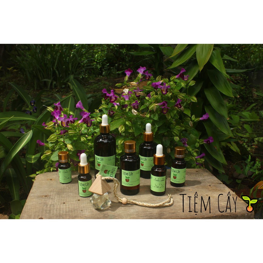 Tinh dầu sả Java -  Loại lớn 20ml >> 100ml