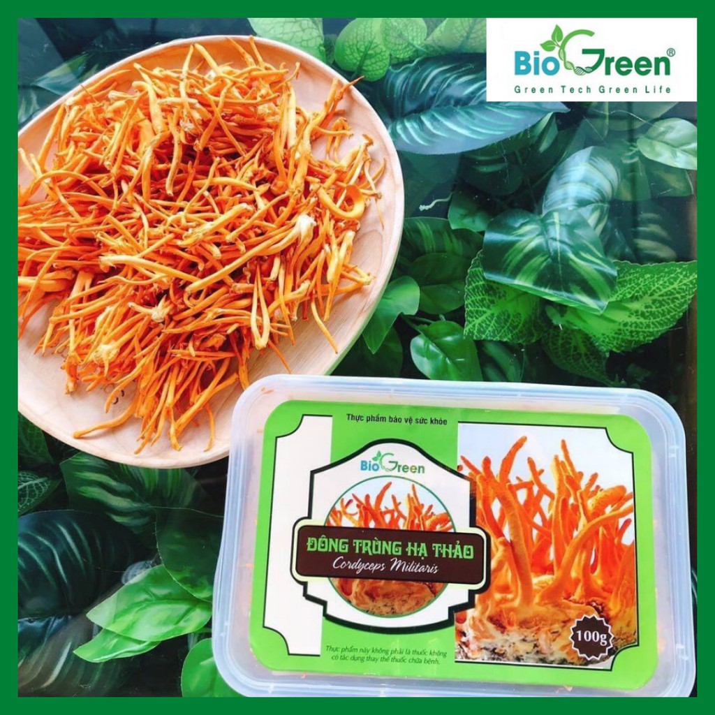 QUẢ THỂ ĐÔNG TRÙNG HẠ THẢO TƯƠI BIOGREEN