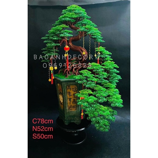 Cây Bonsai trang trí phòng khách siêu sang trọng