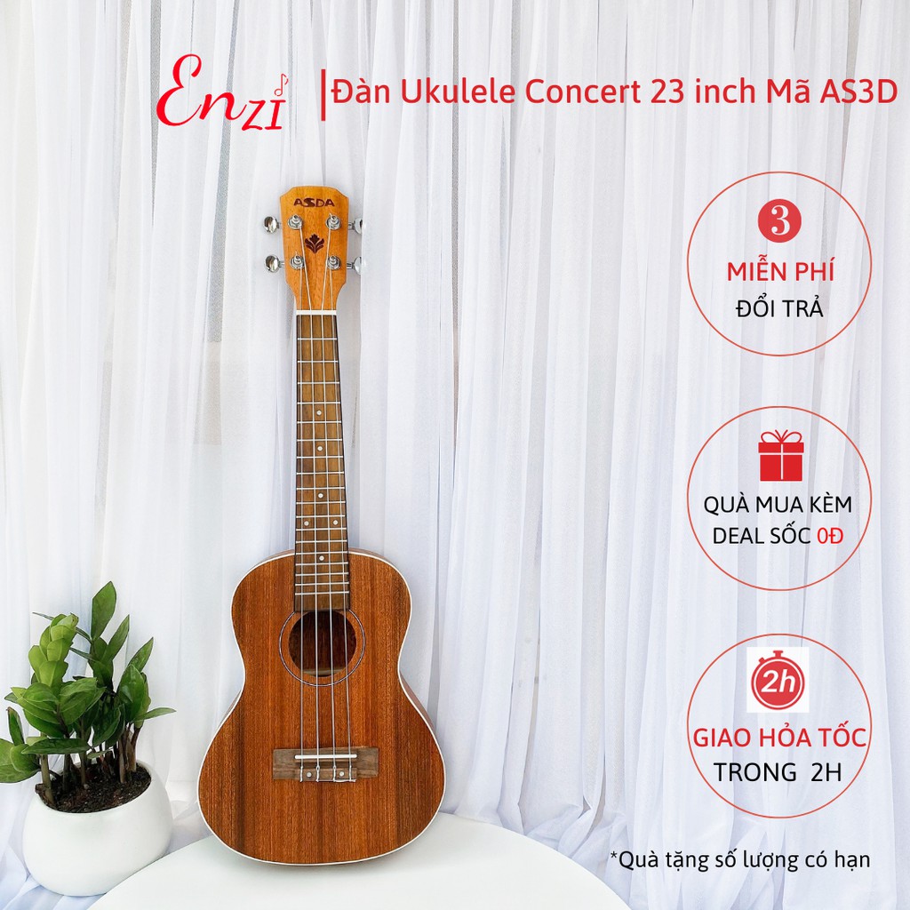 Đàn ukulele concert AS1D Enzi 23 inch gỗ mộc viền chim công khóa đúc giá rẻ cho bạn mới bắt đầu tập chơi