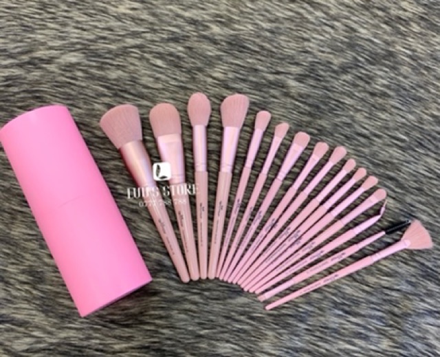 Bộ Cọ Cá Nhân RanMor Ống Hồng 16 cây