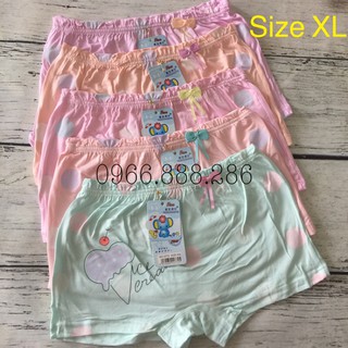 Combo 5 quần chíp đùi bé gái