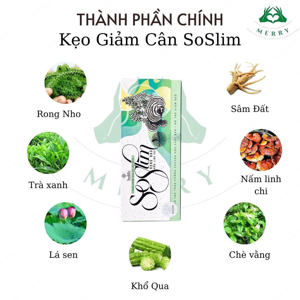 Kẹo Giảm Cân SoSlim Chính Hãng MERRY STORE Rong Nho Nấm Linh Chi Giảm Cân Hiệu Quả An Toàn, Đánh Bay Mỡ Toàn Thân