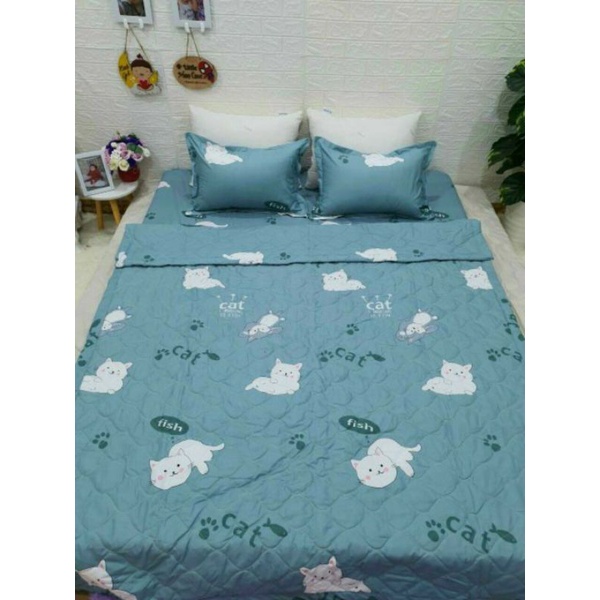 Bộ chăn ga gối hè 5 món cotton poly hàn quốc
