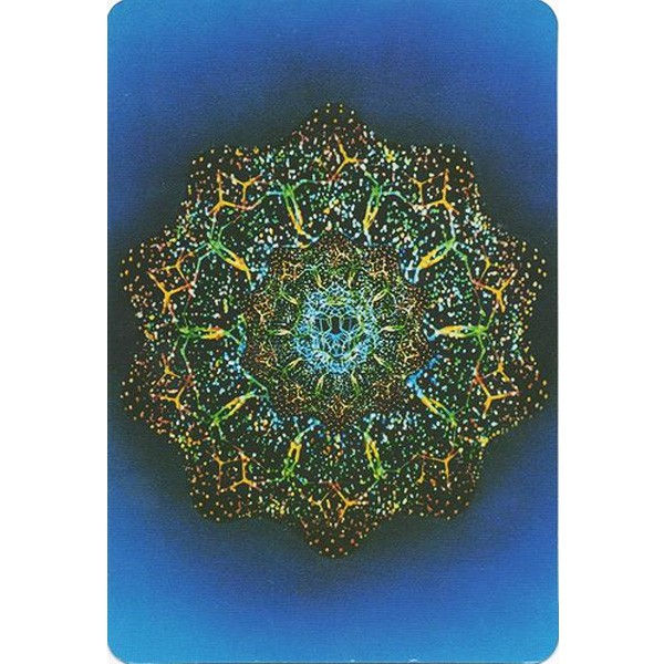 Bộ Bài Voyager Tarot  - Bài Gốc Authentic Chính Hãng 100%