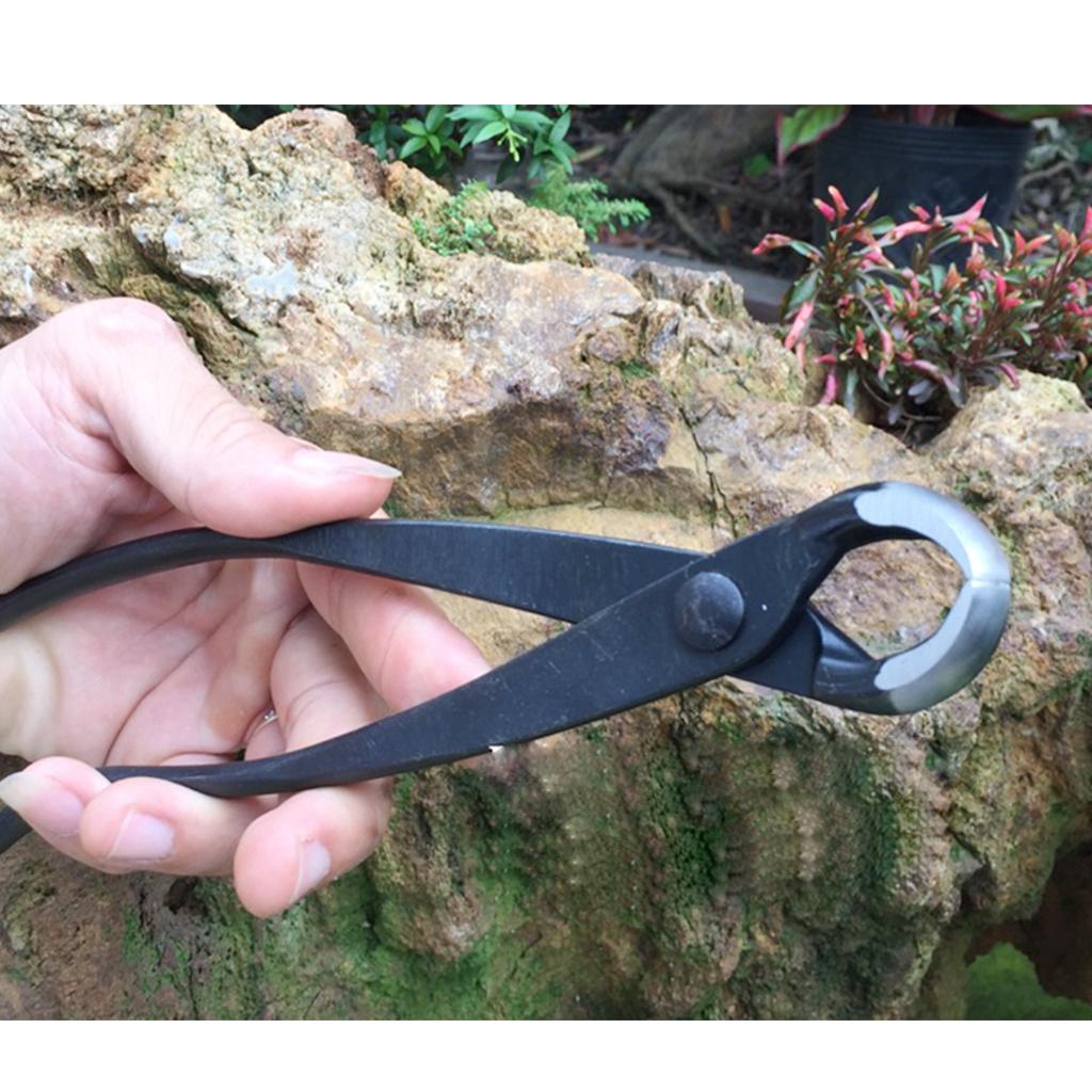 Kìm cạp cây cảnh bonsai đầu tròn Nhật Bản 21 cm thép siêu bền