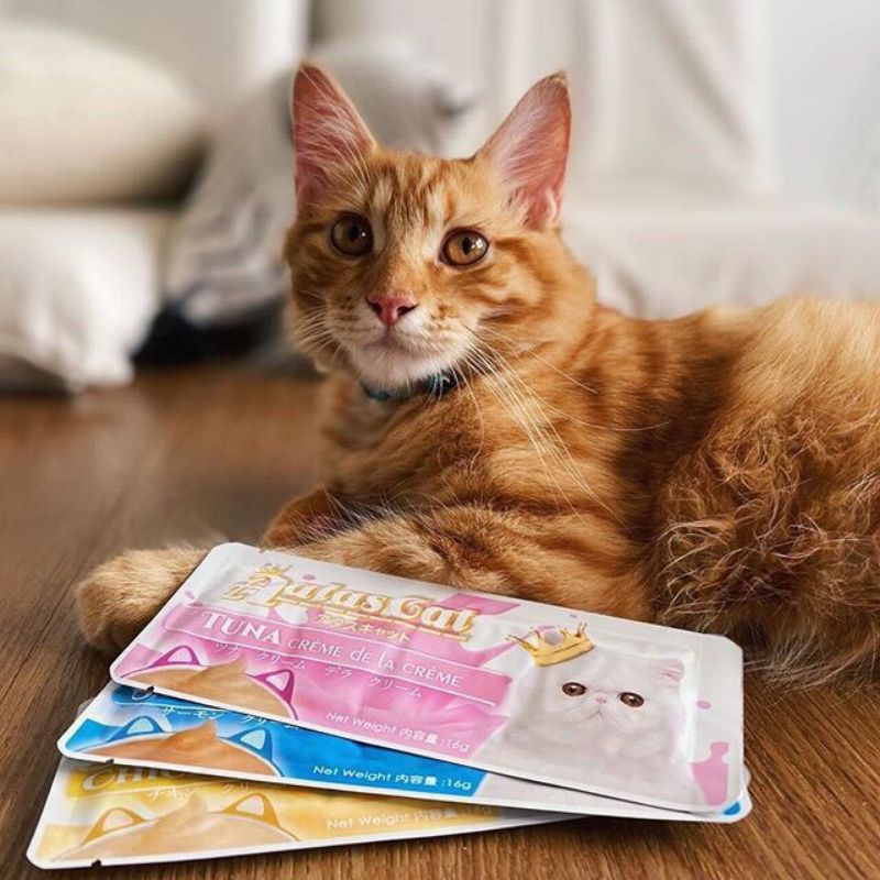 Kem Sốt Thưởng Cho Mèo AATAS Cream 16g | Súp Thưởng Mèo Nhập Khẩu Singapore