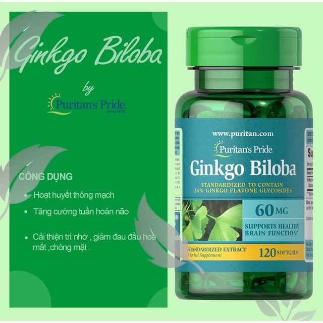 [Puritan's Pride] Viên uống tuần hoàn não ,bổ não Ginkgo Biloba 120 mg- 100 viên