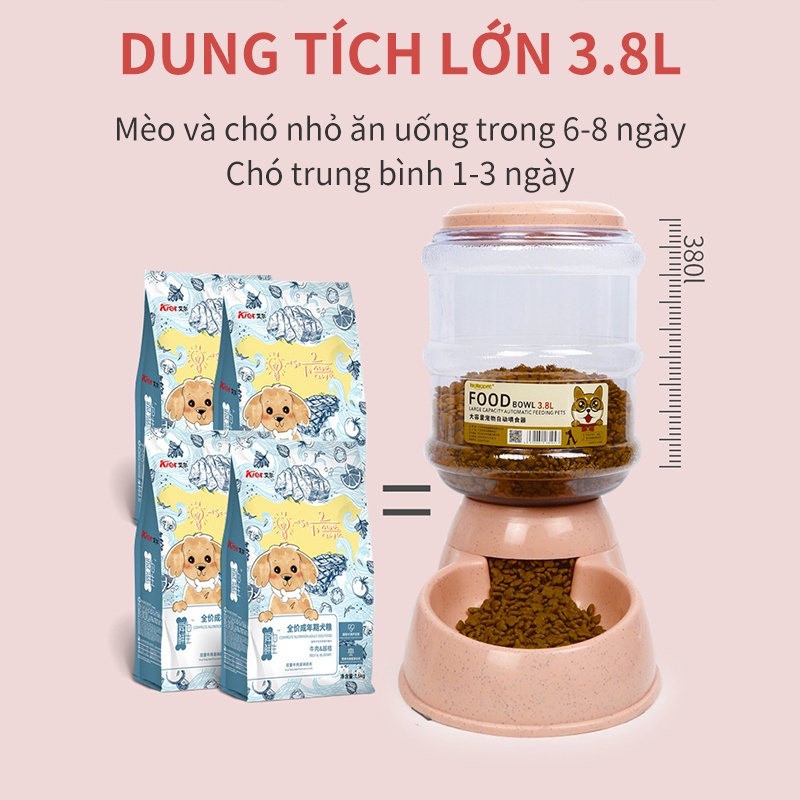 Domicoo Máy lọc nước cho thú cưng dung tích lớn 3.8L cho vật nuôi ăn thức ăn tự động cho chó bú bát cho thú cưng