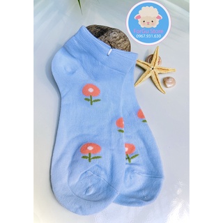 VỚ HOA CÚC TRONG
